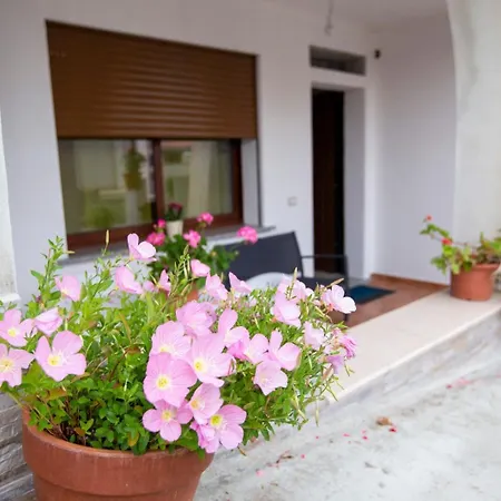 Il Mirto Locale Apartment *
